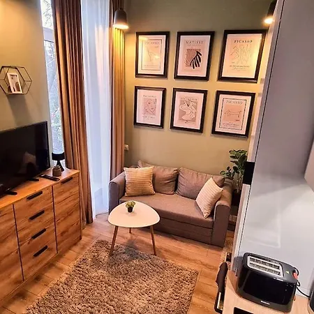 Downtown Studio-loft Apartment *